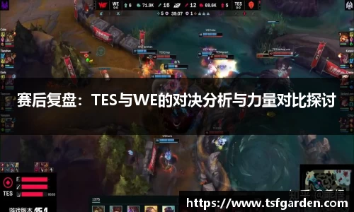 赛后复盘：TES与WE的对决分析与力量对比探讨