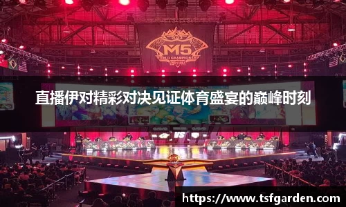 直播伊对精彩对决见证体育盛宴的巅峰时刻