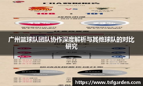 广州篮球队团队协作深度解析与其他球队的对比研究