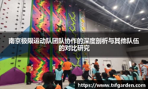 伟德bv国际体育