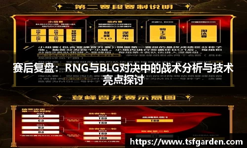 赛后复盘：RNG与BLG对决中的战术分析与技术亮点探讨