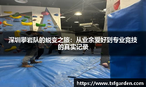伟德bv国际