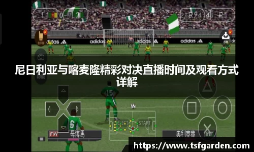 伟德bv国际体育