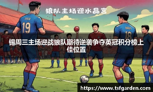 伟德bv国际体育