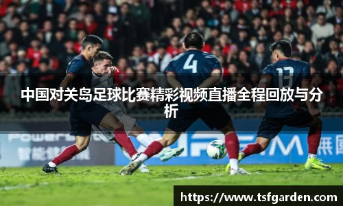 伟德bv国际体育