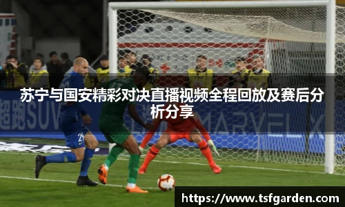 苏宁与国安精彩对决直播视频全程回放及赛后分析分享