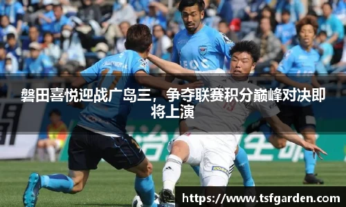 伟德bv国际体育