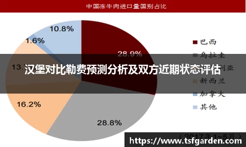 伟德bv国际体育