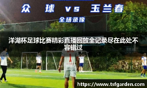 洋湖杯足球比赛精彩直播回放全记录尽在此处不容错过