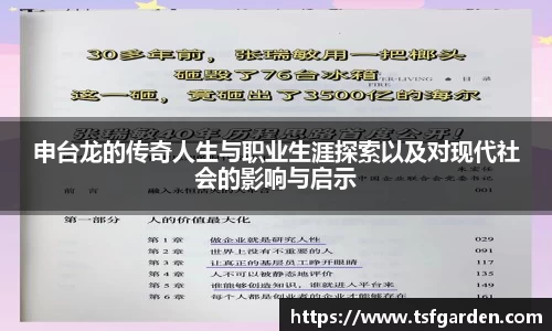 申台龙的传奇人生与职业生涯探索以及对现代社会的影响与启示